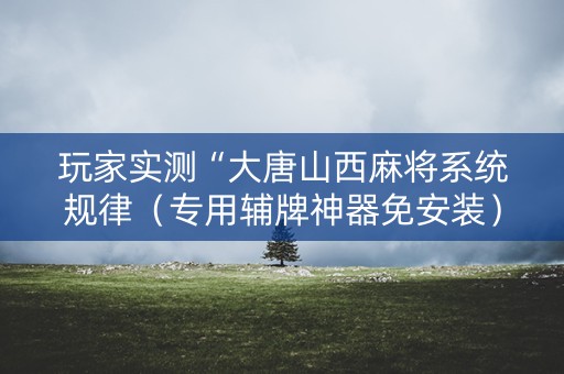玩家实测“大唐山西麻将系统规律（专用辅牌神器免安装）