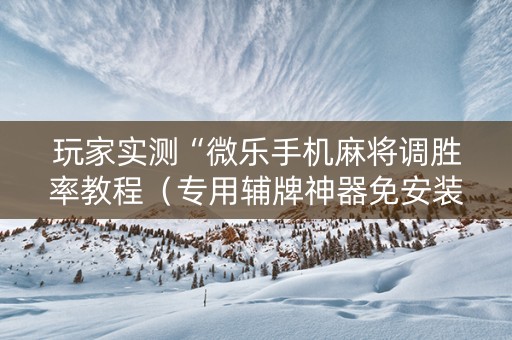 玩家实测“微乐手机麻将调胜率教程（专用辅牌神器免安装）