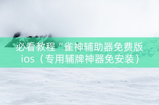 必看教程“雀神辅助器免费版ios（专用辅牌神器免安装）