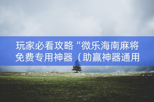 玩家必看攻略“微乐海南麻将免费专用神器（助赢神器通用版）