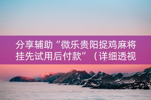 分享辅助“微乐贵阳捉鸡麻将挂先试用后付款”（详细透视教程）-哔哩哔哩