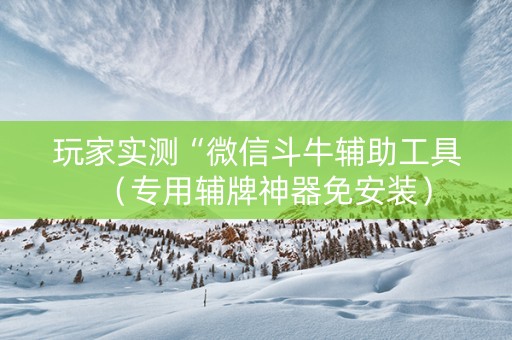 玩家实测“微信斗牛辅助工具（专用辅牌神器免安装）