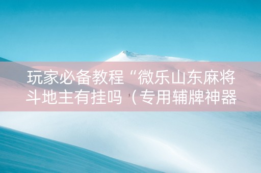 玩家必备教程“微乐山东麻将斗地主有挂吗（专用辅牌神器免安装）