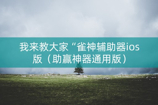 我来教大家“雀神辅助器ios版（助赢神器通用版）