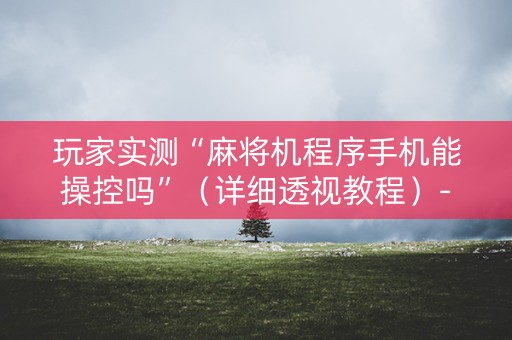 玩家实测“麻将机程序手机能操控吗”（详细透视教程）-哔哩哔哩