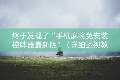 终于发现了“手机麻将免安装控牌器最新版”（详细透视教程）-哔哩哔哩