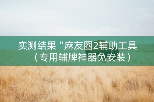 实测结果“麻友圈2辅助工具（专用辅牌神器免安装）