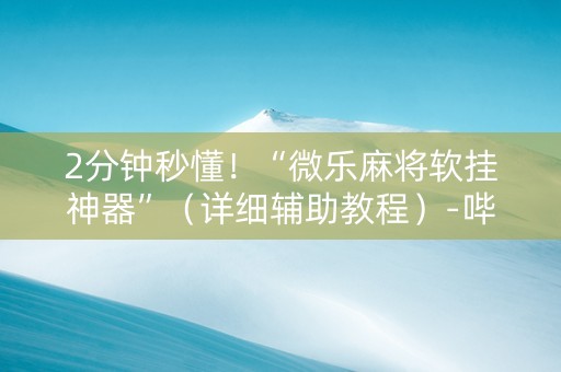 2分钟秒懂！“微乐麻将软挂神器”（详细辅助教程）-哔哩哔哩