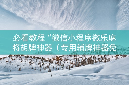 必看教程“微信小程序微乐麻将胡牌神器（专用辅牌神器免安装）