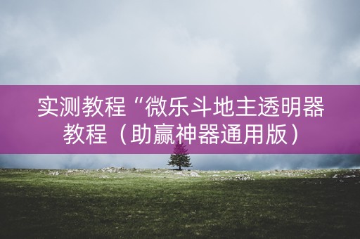 实测教程“微乐斗地主透明器教程（助赢神器通用版）