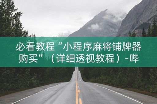 必看教程“小程序麻将铺牌器购买”（详细透视教程）-哔哩哔哩