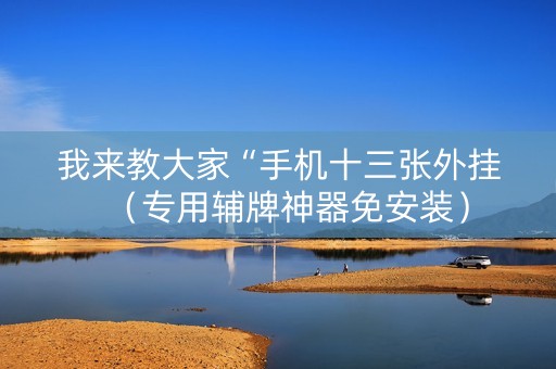 我来教大家“手机十三张外挂（专用辅牌神器免安装）
