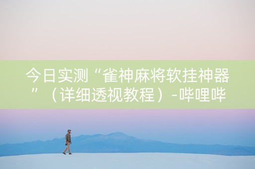 今日实测“雀神麻将软挂神器”（详细透视教程）-哔哩哔哩