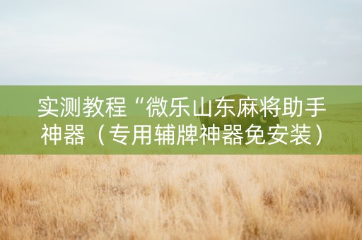 实测教程“微乐山东麻将助手神器（专用辅牌神器免安装）