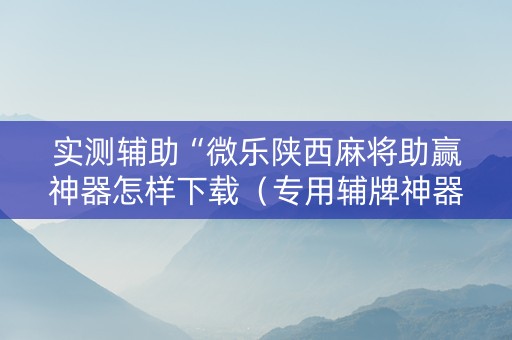 实测辅助“微乐陕西麻将助赢神器怎样下载（专用辅牌神器免安装）