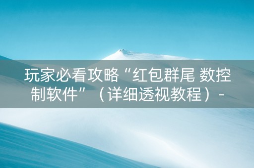 玩家必看攻略“红包群尾 数控制软件”（详细透视教程）-哔哩哔哩