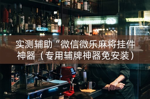 实测辅助“微信微乐麻将挂件神器（专用辅牌神器免安装）