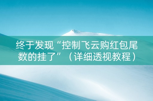 终于发现“控制飞云购红包尾数的挂了”（详细透视教程）-哔哩哔哩