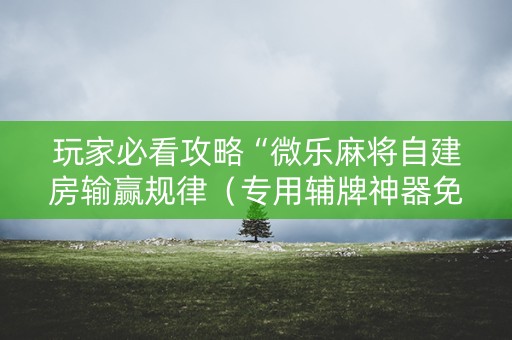 玩家必看攻略“微乐麻将自建房输赢规律（专用辅牌神器免安装）