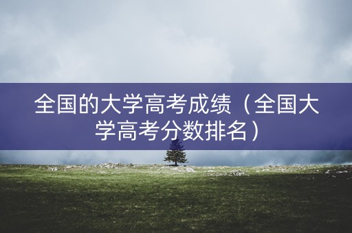 全国的大学高考成绩（全国大学高考分数排名）