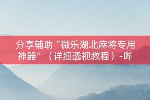 分享辅助“微乐湖北麻将专用神器”（详细透视教程）-哔哩哔哩