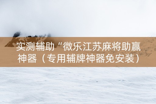 实测辅助“微乐江苏麻将助赢神器（专用辅牌神器免安装）