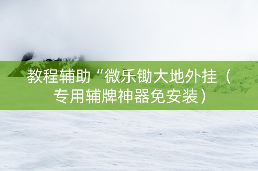 教程辅助“微乐锄大地外挂（专用辅牌神器免安装）
