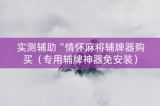 实测辅助“情怀麻将辅牌器购买（专用辅牌神器免安装）