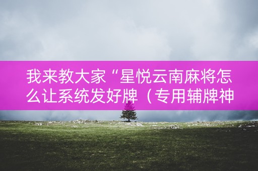 我来教大家“星悦云南麻将怎么让系统发好牌（专用辅牌神器免安装）