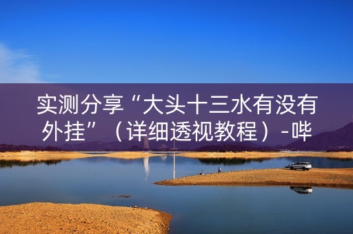 实测分享“大头十三水有没有外挂”（详细透视教程）-哔哩哔哩