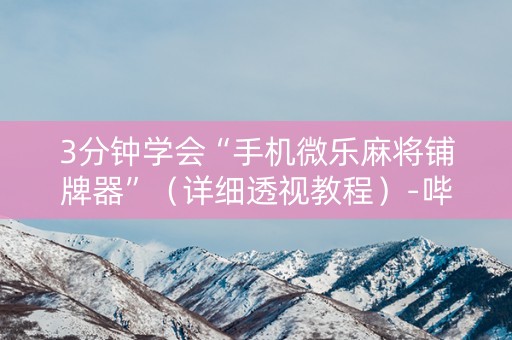 3分钟学会“手机微乐麻将铺牌器”（详细透视教程）-哔哩哔哩