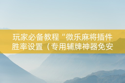 玩家必备教程“微乐麻将插件胜率设置（专用辅牌神器免安装）