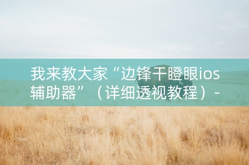 我来教大家“边锋干瞪眼ios辅助器”（详细透视教程）-哔哩哔哩