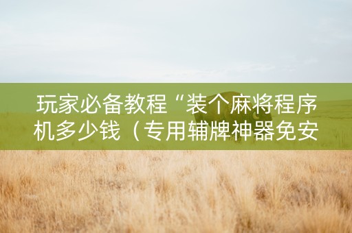 玩家必备教程“装个麻将程序机多少钱（专用辅牌神器免安装）