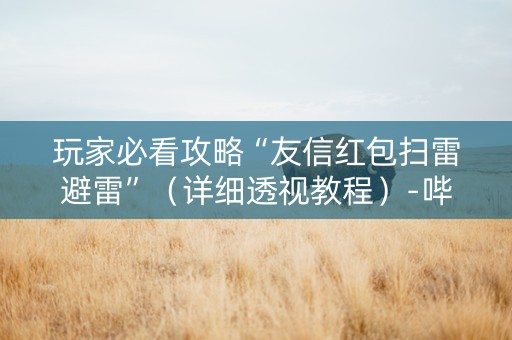 玩家必看攻略“友信红包扫雷避雷”（详细透视教程）-哔哩哔哩