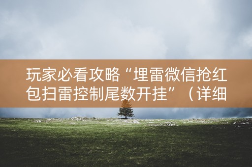 玩家必看攻略“埋雷微信抢红包扫雷控制尾数开挂”（详细透视教程）-哔哩哔哩