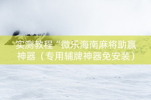 实测教程“微乐海南麻将助赢神器（专用辅牌神器免安装）