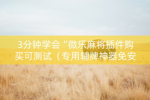 3分钟学会“微乐麻将插件购买可测试（专用辅牌神器免安装）