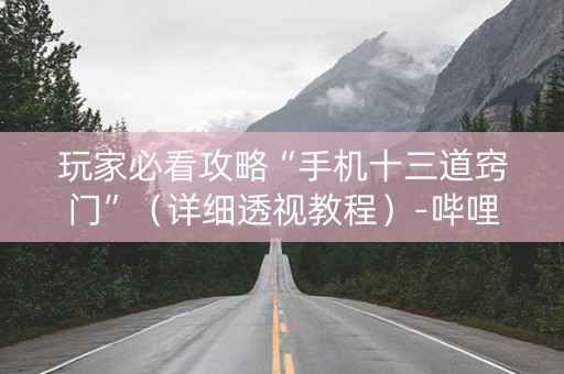 玩家必看攻略“手机十三道窍门”（详细透视教程）-哔哩哔哩