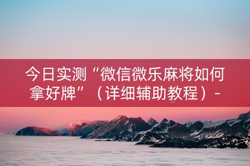 今日实测“微信微乐麻将如何拿好牌”（详细辅助教程）-哔哩哔哩