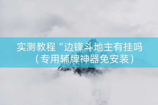 实测教程“边锋斗地主有挂吗（专用辅牌神器免安装）