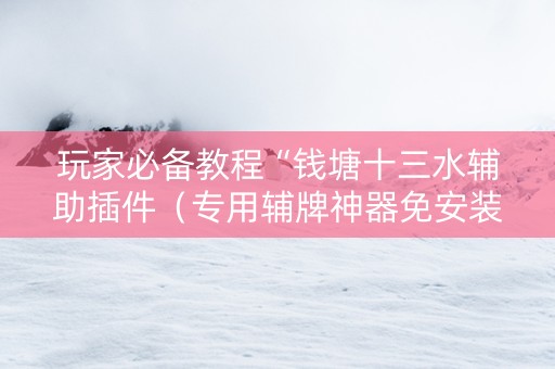 玩家必备教程“钱塘十三水辅助插件（专用辅牌神器免安装）
