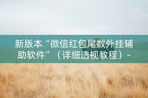 新版本“微信红包尾数外挂辅助软件”（详细透视教程）-哔哩哔哩