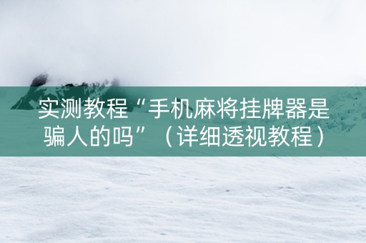 实测教程“手机麻将挂牌器是骗人的吗”（详细透视教程）-哔哩哔哩