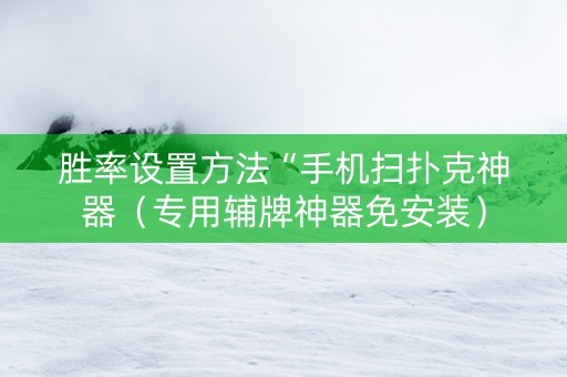 胜率设置方法“手机扫扑克神器（专用辅牌神器免安装）