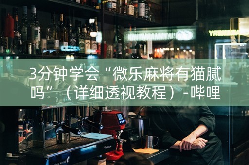 3分钟学会“微乐麻将有猫腻吗”（详细透视教程）-哔哩哔哩