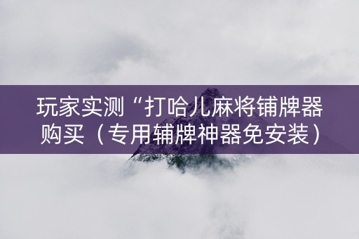 玩家实测“打哈儿麻将铺牌器购买（专用辅牌神器免安装）