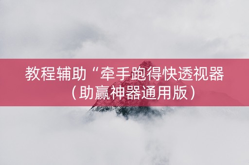教程辅助“牵手跑得快透视器（助赢神器通用版）
