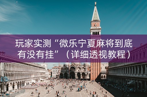 玩家实测“微乐宁夏麻将到底有没有挂”（详细透视教程）-哔哩哔哩