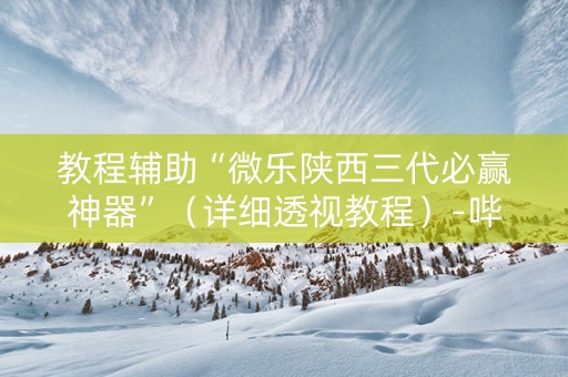 教程辅助“微乐陕西三代必赢神器”（详细透视教程）-哔哩哔哩